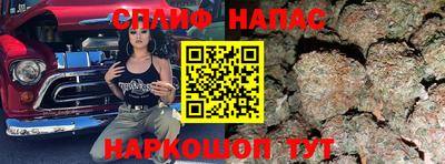 стафф Берёзовский